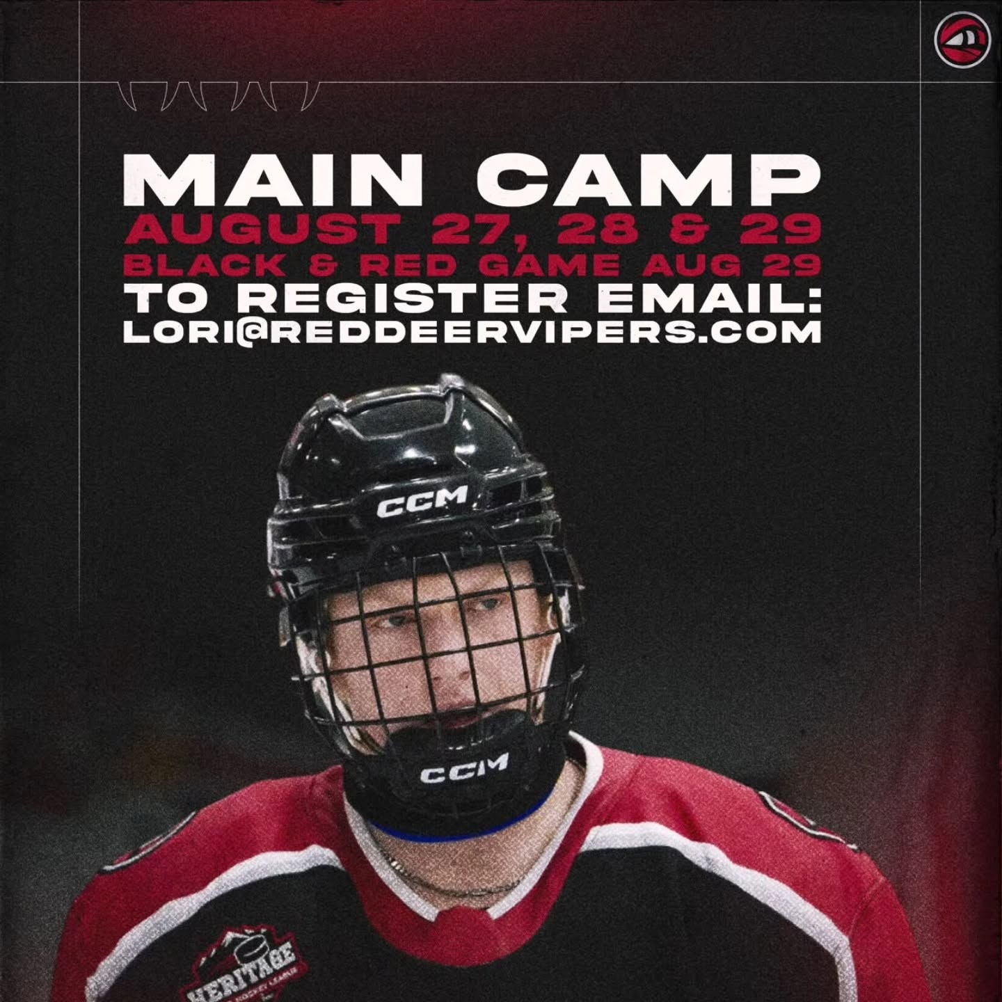 Red Deer Vipers camp poster